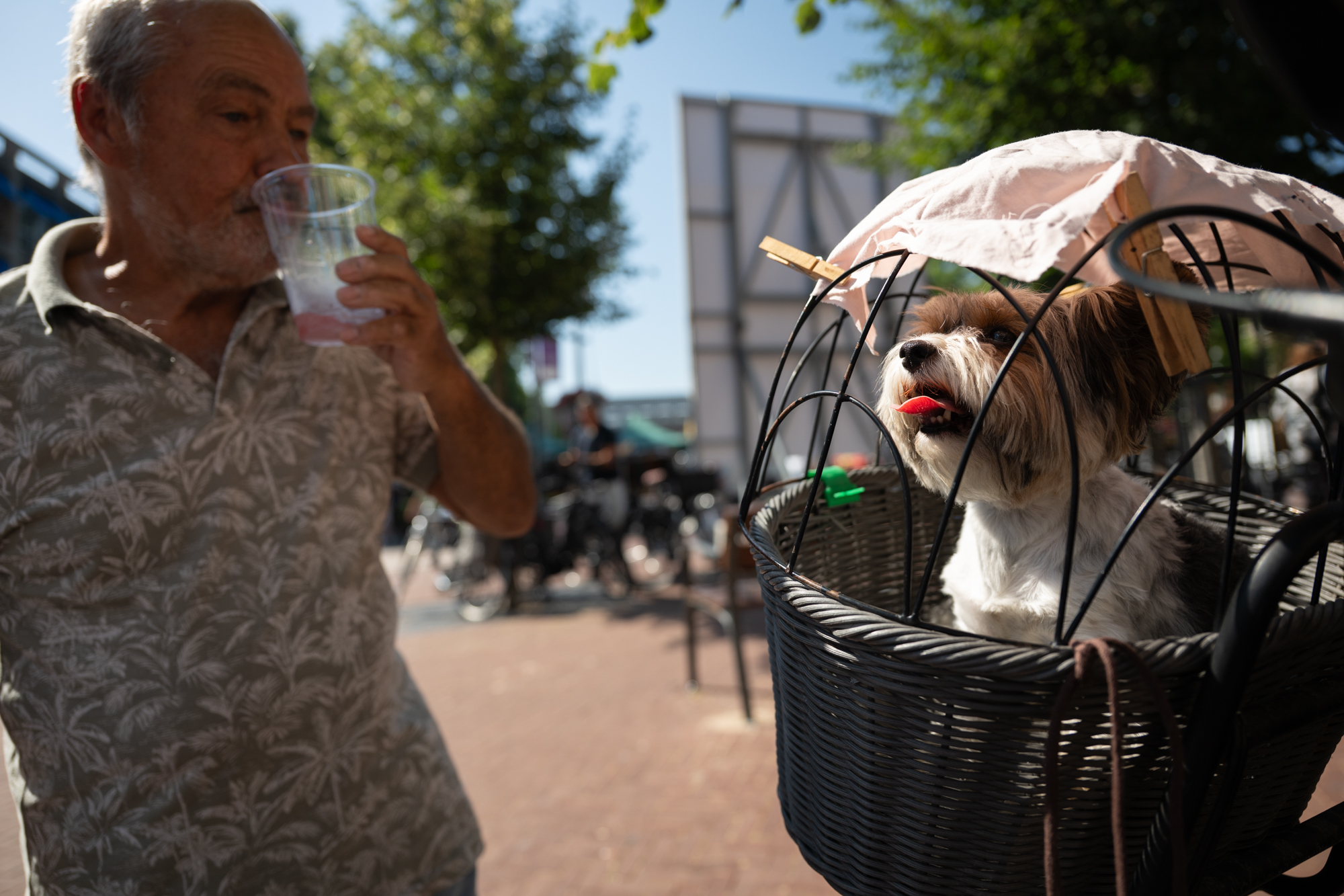 Man drinkt op de markt naast een hondje in een fietsmand, project De Vormforensen