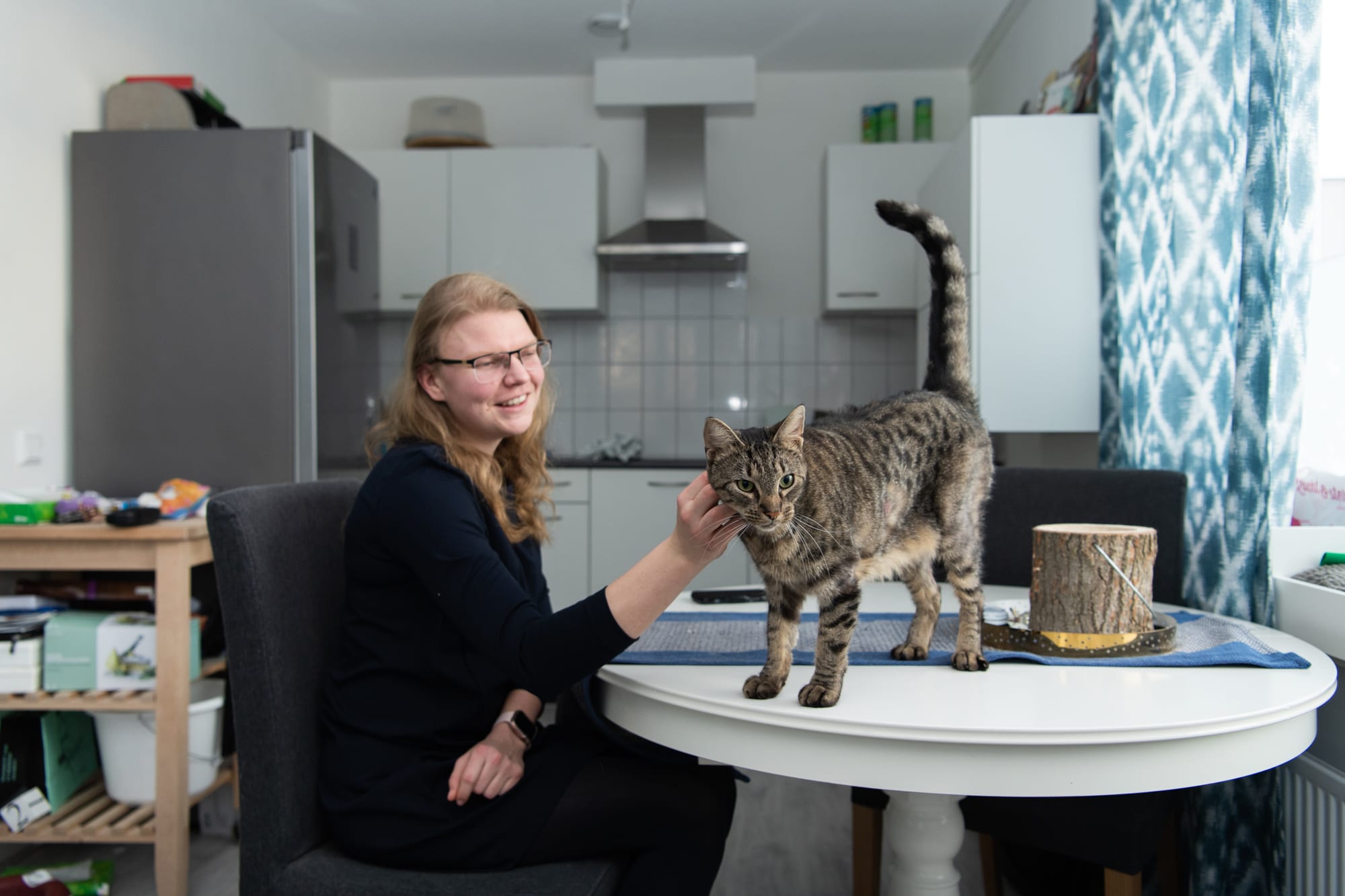 JP van den Bent — thuis met de kat